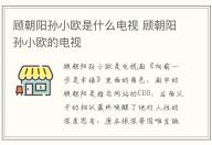 顧朝陽孫小歐是什么電視 顧朝陽孫小歐的電視