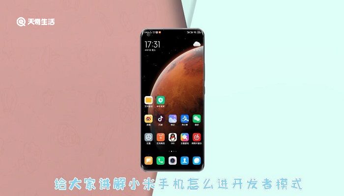 小米怎么進開發者模式 小米如何進開發者模式
