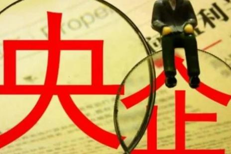 央企編制屬于什么編制 本科應屆生進央企屬于什么編制