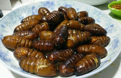 蠶蛹的家常做法 水煮蠶蛹的家常做法