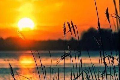 安兒陳新歌《匆匆的過客》歌詞完整版 