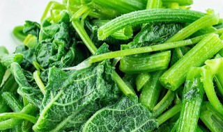 唐代飲食中的野菜的做法 唐代飲食中的野菜怎么做