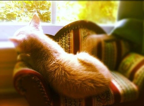 夢到有人想非禮自己并沒有成功 預示著什么