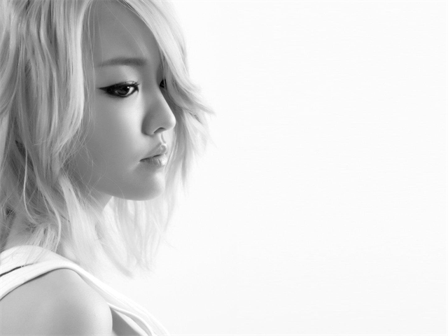 夏韶聲個(gè)人資料