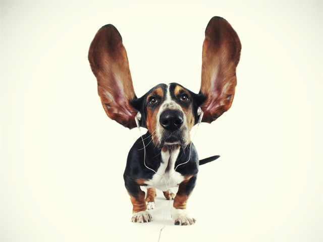 張智成個人資料 張智成個人資料