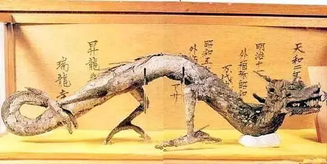 2億年前是哪個朝代？朝代名稱有五個來由