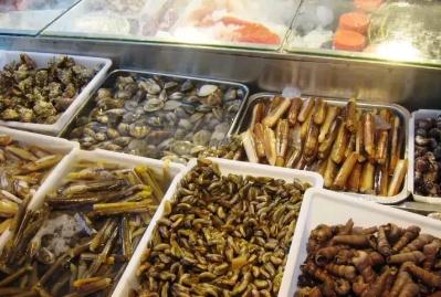大連金州區(qū)海鮮批發(fā)市場攻略（大連金州海鮮批發(fā)市場在哪）