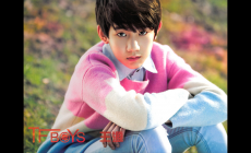 川島茉樹代個人資料