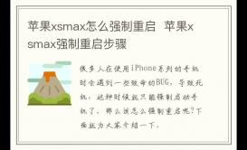 蘋果xsmax怎么強(qiáng)制重啟 蘋果xsmax強(qiáng)制重啟步驟
