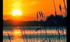 安兒陳新歌《匆匆的過客》歌詞完整版