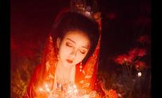 夢見和己故的親人一起摘梨