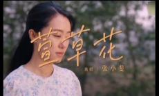 張小斐《萱草花》歌詞