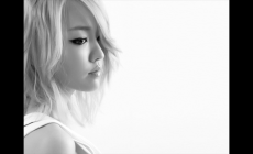 夏韶聲個人資料