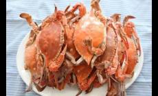 梭子蟹正面蒸還是反面蒸  梭子蟹和什么食物相克