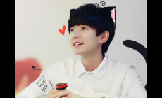 Red Velvet個人資料