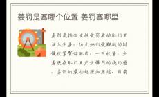 姜罰是塞哪個位置 懲戒生姜塞哪里