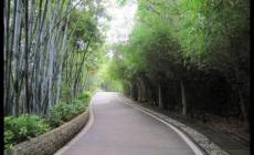 深圳翠竹公園一圈多少公里