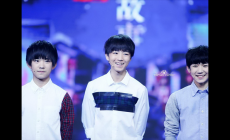 蘇永康個人資料