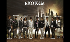 劉文正個人資料