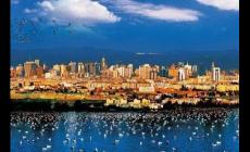 四季如春打一城市名字（一年四季如春的城市都有哪些）