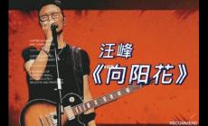 汪峰的《向陽花》 歌詞