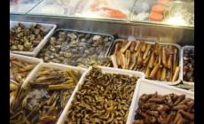 大連金州區海鮮批發市場攻略(大連金州海鮮批發市場在哪)