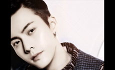 張鎬哲個人資料