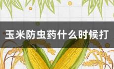 玉米防蟲藥最佳時間是什么時候