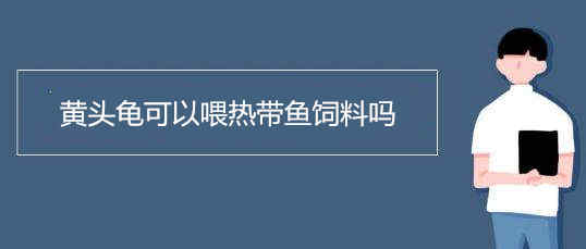 黃頭龜可以喂熱帶魚飼料嗎