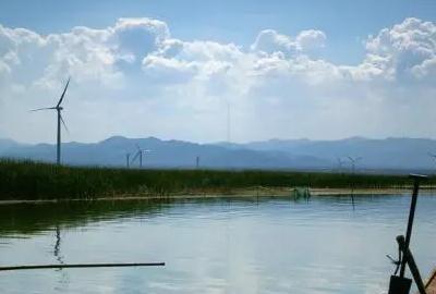 康西草原在哪個城市 康西草原在哪個城市啊