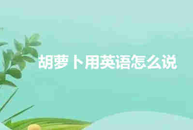 胡蘿卜用英語怎么說