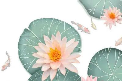 人物外貌描寫的句子摘抄：形容人的外貌的好詞好句