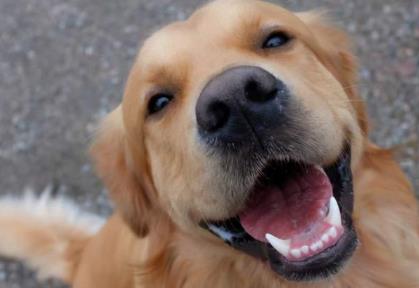 訕笑的讀音 訕笑是什么意思