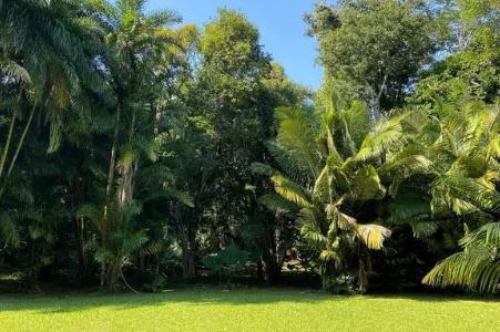 西雙版納旅游攻略 勐侖植物園