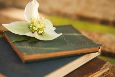 沒有北京戶口 怎么上重點高中