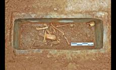 漢文帝霸陵殉葬坑發現神奇動物貘 霸陵陪葬均是珍禽異獸