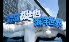 青島極地海洋世界門票多少錢一張