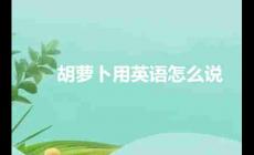 胡蘿卜用英語怎么說