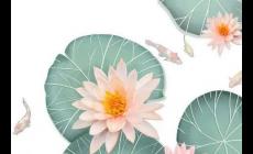 三國演義讀后感1000字