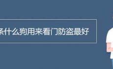 養(yǎng)條什么狗用來(lái)看門防盜最好
