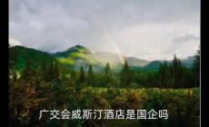 廣交會威斯汀酒店是國企嗎