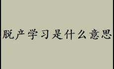 脫產學習是什么意思