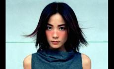 王菲個(gè)人資料簡(jiǎn)介