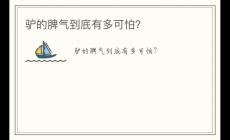 驢的脾氣到底有多可怕？