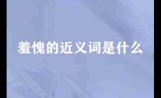 羞愧的近義詞是什么