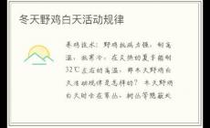 為什么沒人買蘆花雞