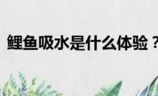鯉魚吸水是什么體驗?鯉魚吸水有多舒服?