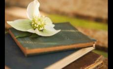 沒有北京戶口 怎么上重點高中