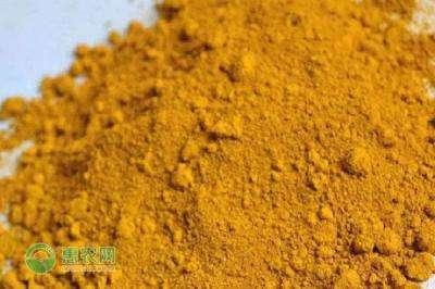 黃粉的正確使用方法插圖