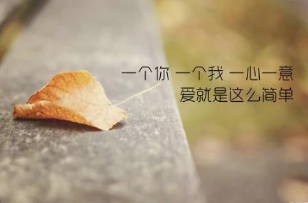 5000條撩撥男人話術 秒回精選19條